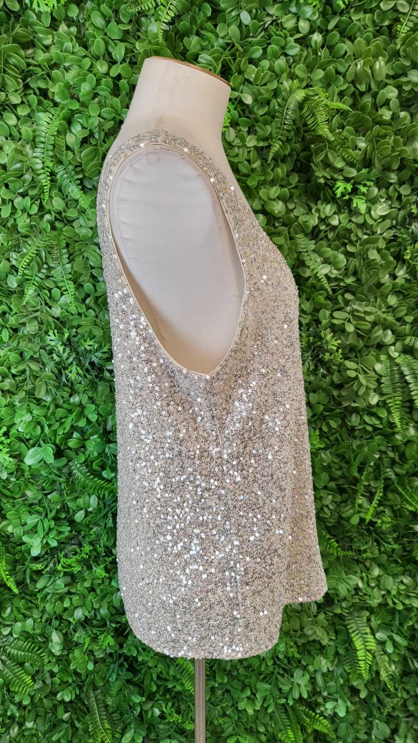 Decjuba Silver Sequin Tank (14)