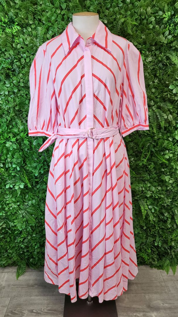 Leoni Striped Fit & Flare Dress (14)