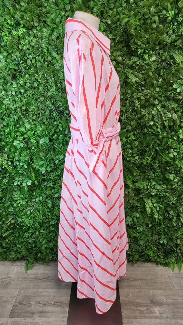 Leoni Striped Fit & Flare Dress (14)