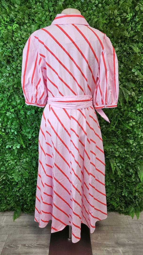 Leoni Striped Fit & Flare Dress (14)