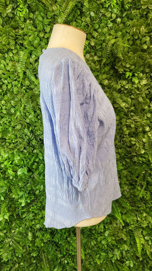Seeking Lola Pale Blue Shirred Top (10)