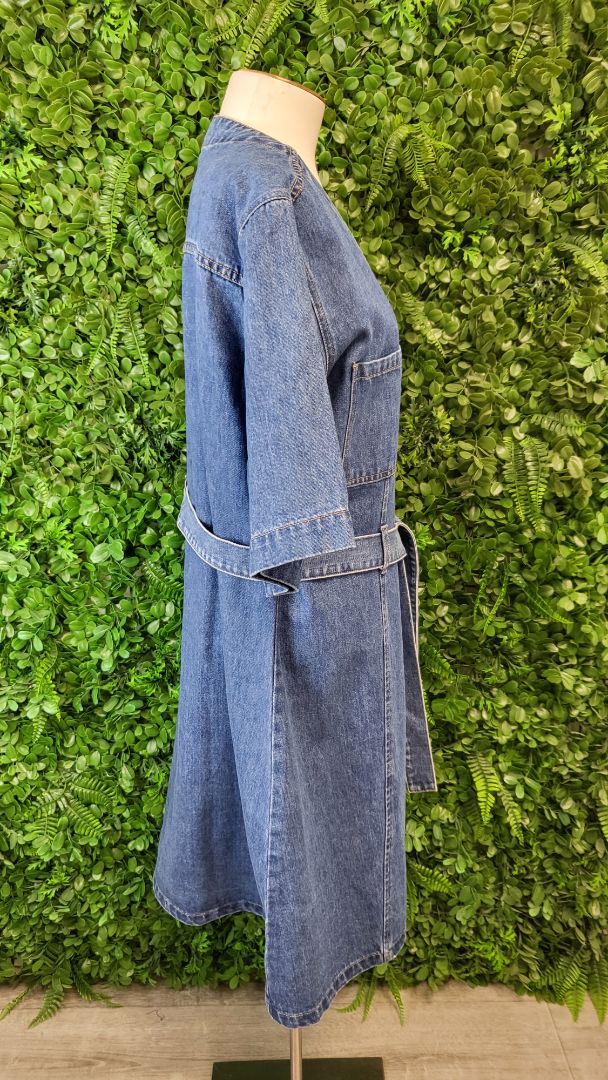 Addison Mid Blue Denim Mini Dress (18)