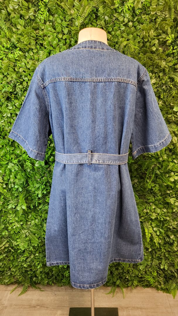 Addison Mid Blue Denim Mini Dress (18)