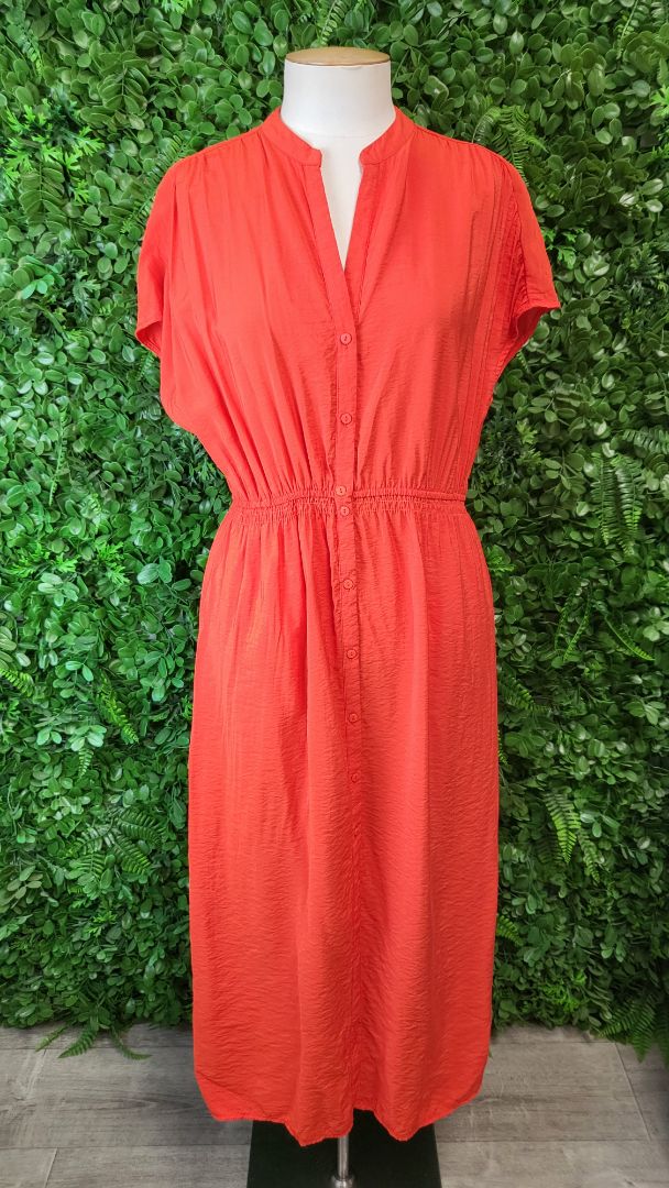 Betty Basics Tangerine Midi Dress (10)