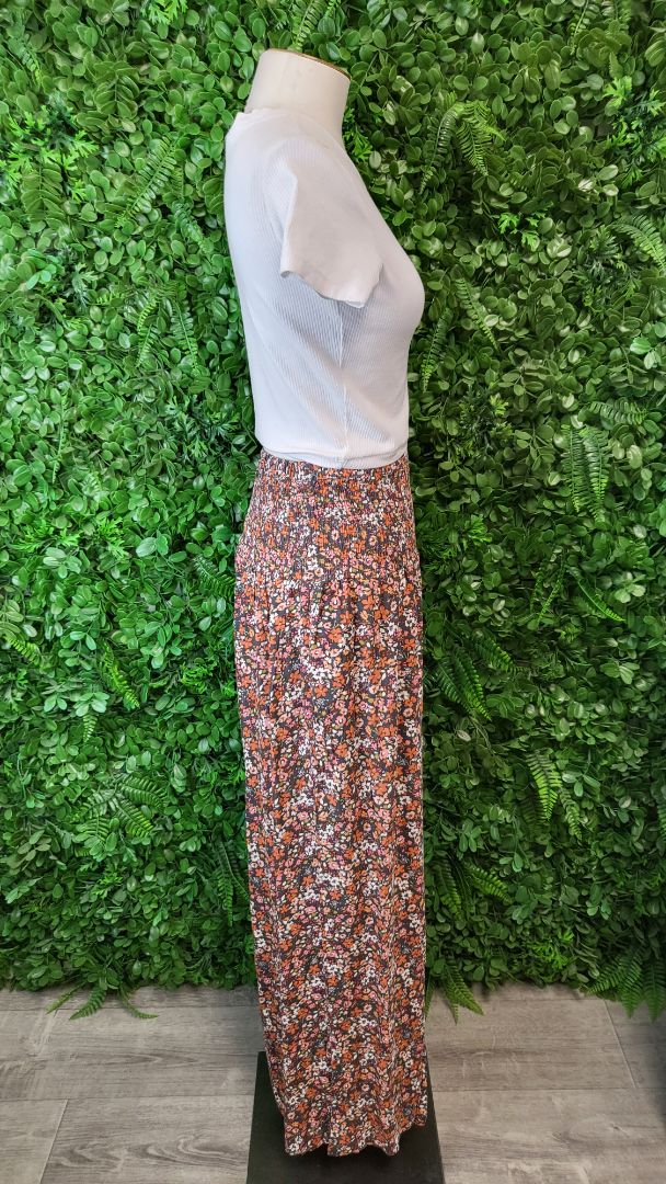 Sass Multi Meredith Pant BNWT (12)