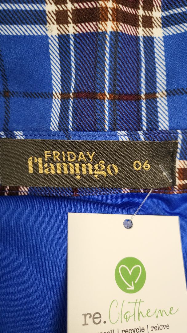 Friday Flamingo Check Collar Dress (22-24)
