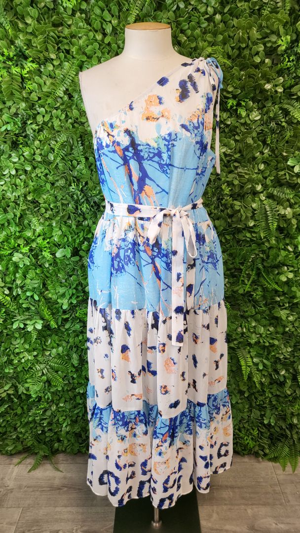 Augustine Multi One Shoulder Dress (16)