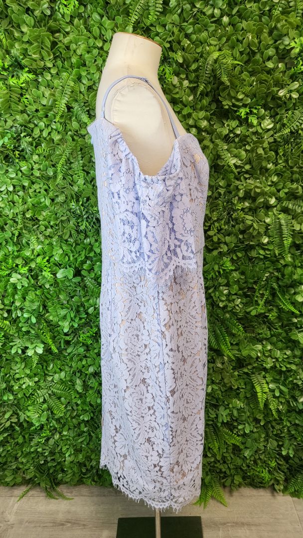 City Chic Blue Lace Off Shoulder Dress (16 - 18)