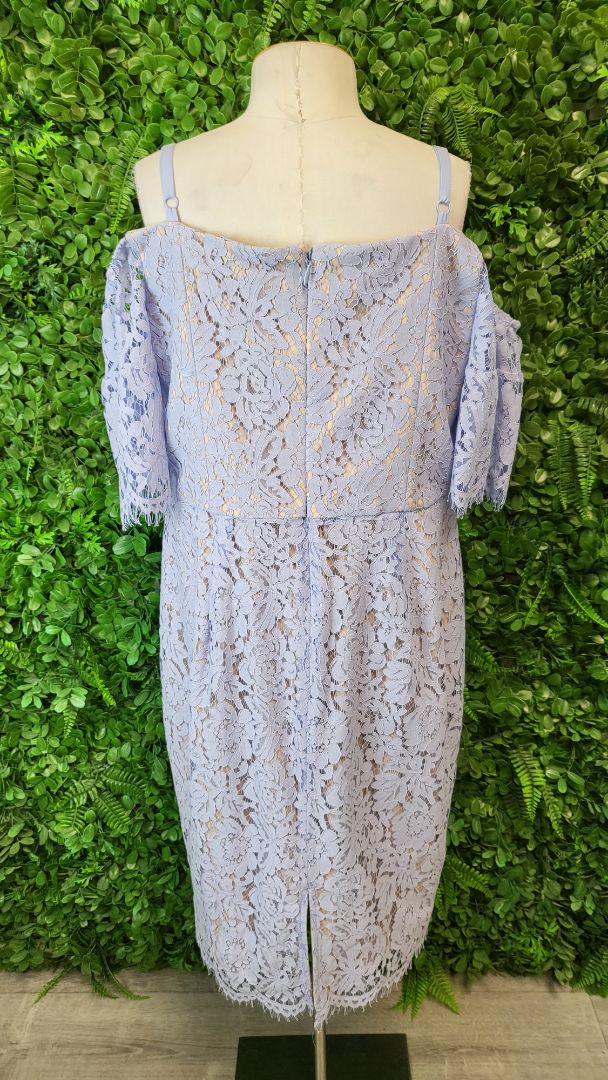 City Chic Blue Lace Off Shoulder Dress (16 - 18)