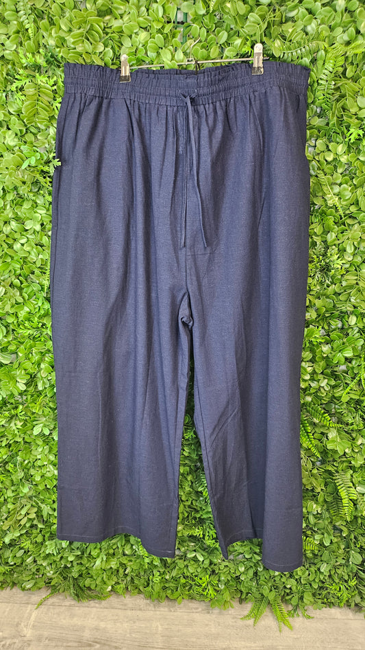 Sass Navy Odell Pant BNWT (22)