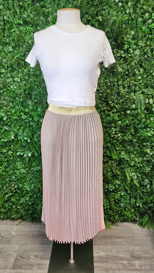 Stella+Gemma Ombre Pleat Skirt (10)