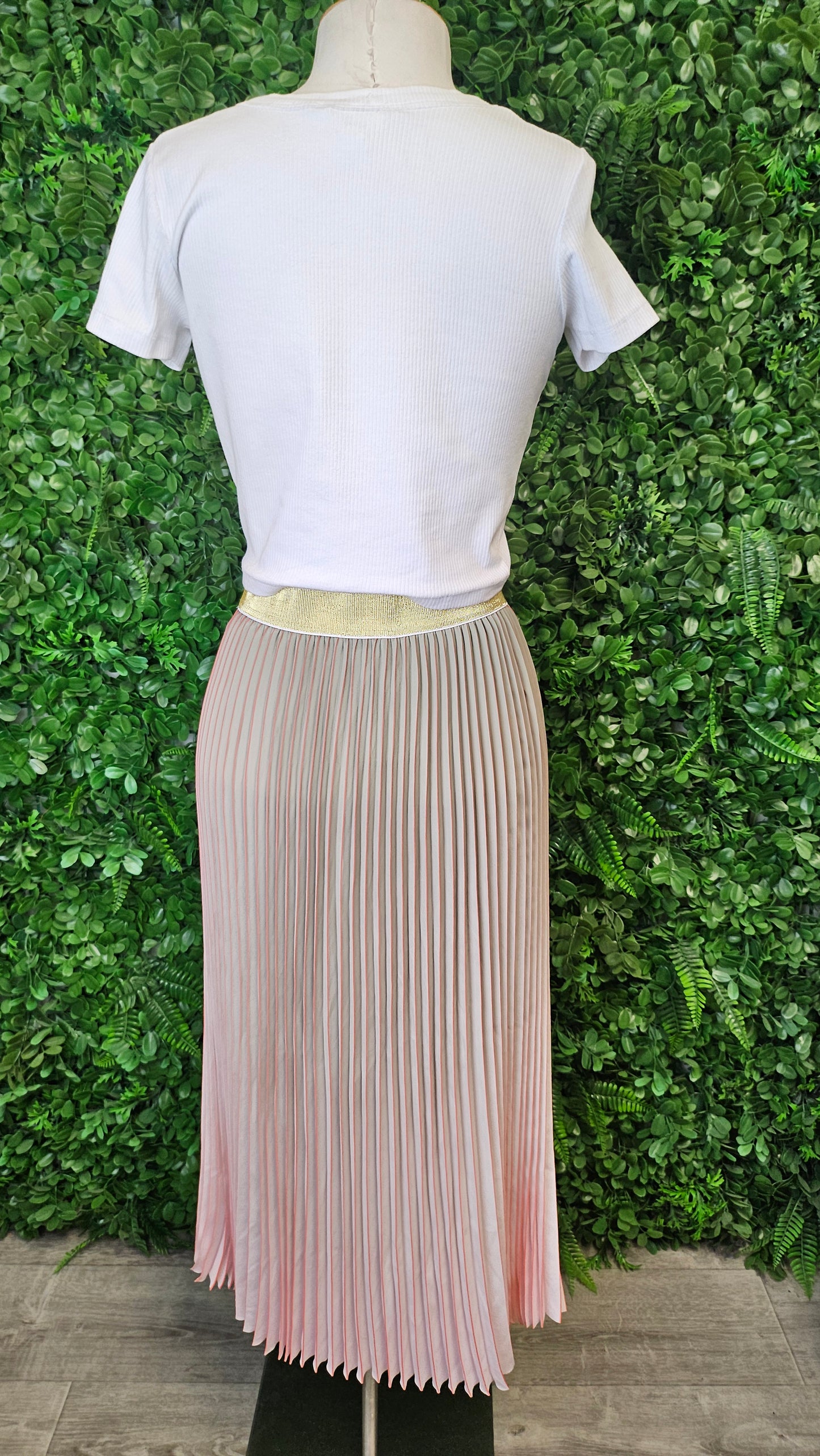 Stella+Gemma Ombre Pleat Skirt (10)