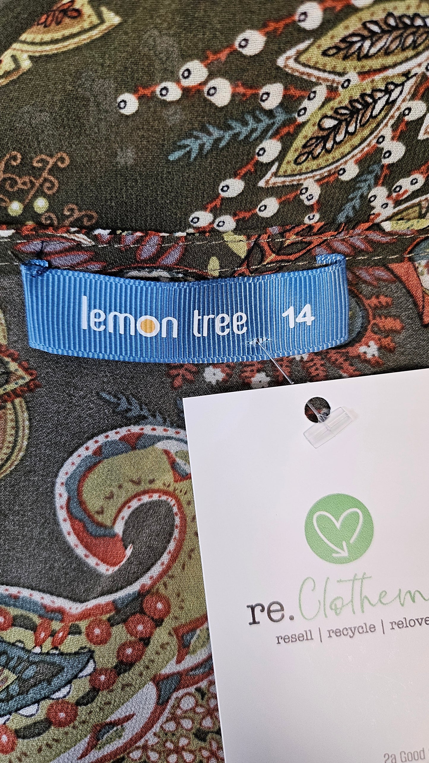 Lemon Tree Print Sheer Frill Dress (14)