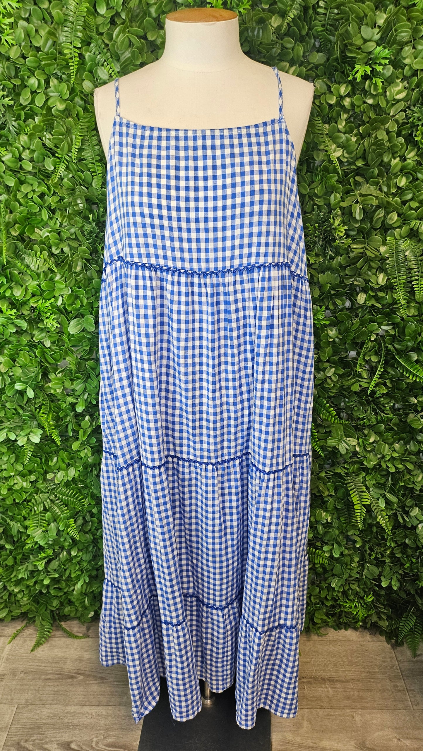 Haven Blue Check Sundress (14)