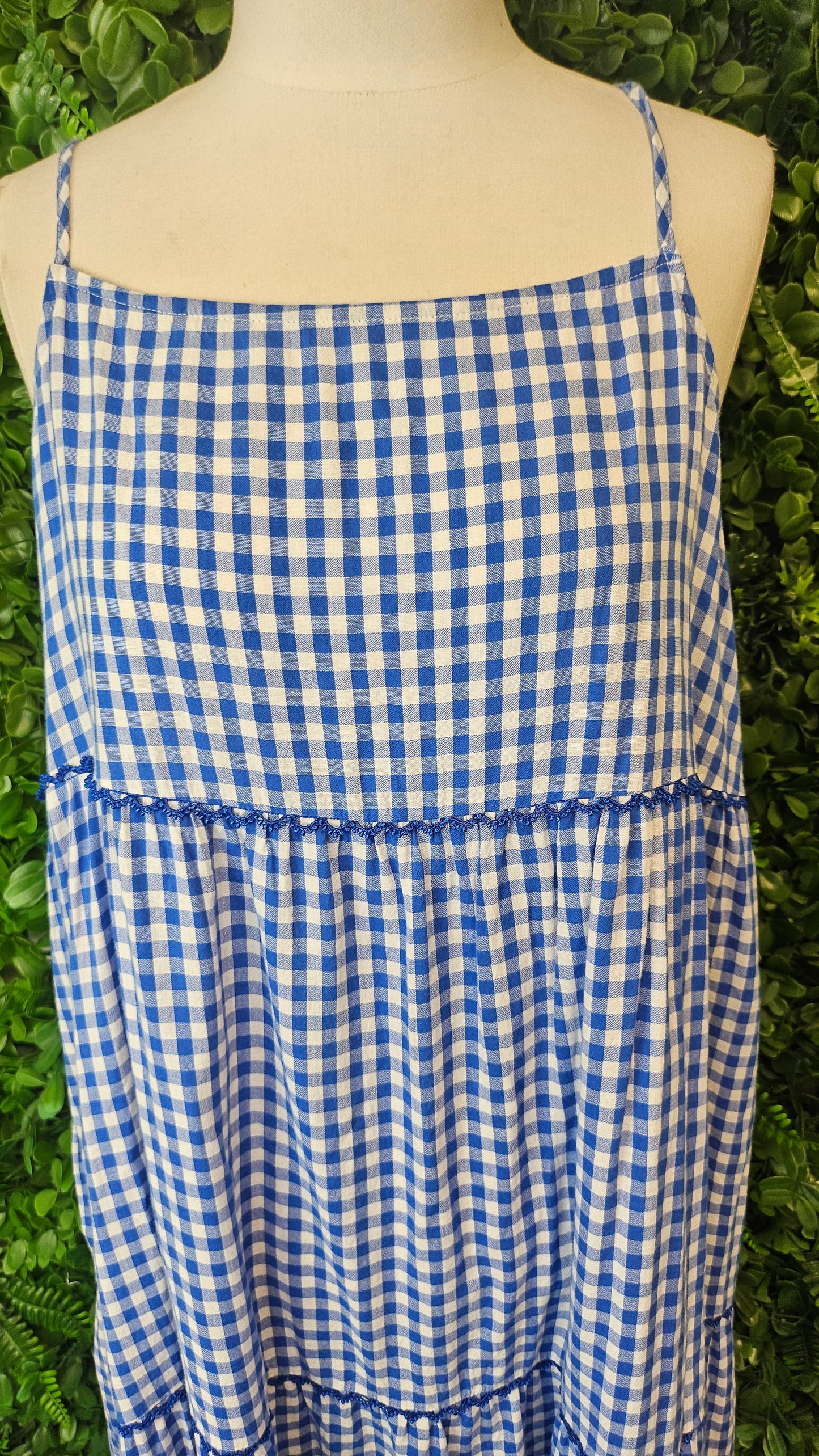 Haven Blue Check Sundress (14)