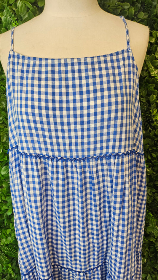 Haven Blue Check Sundress (14)