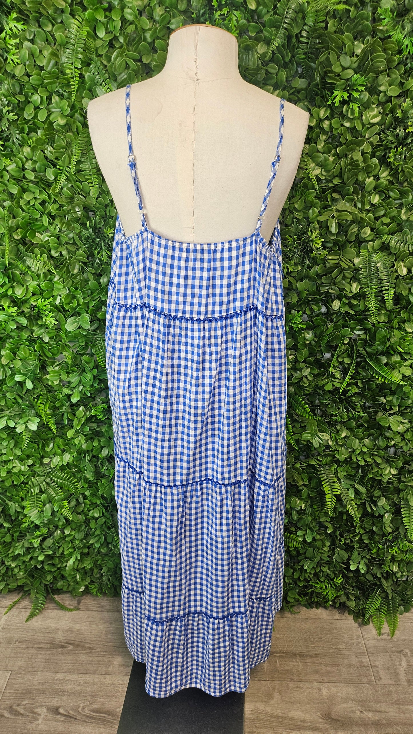 Haven Blue Check Sundress (14)