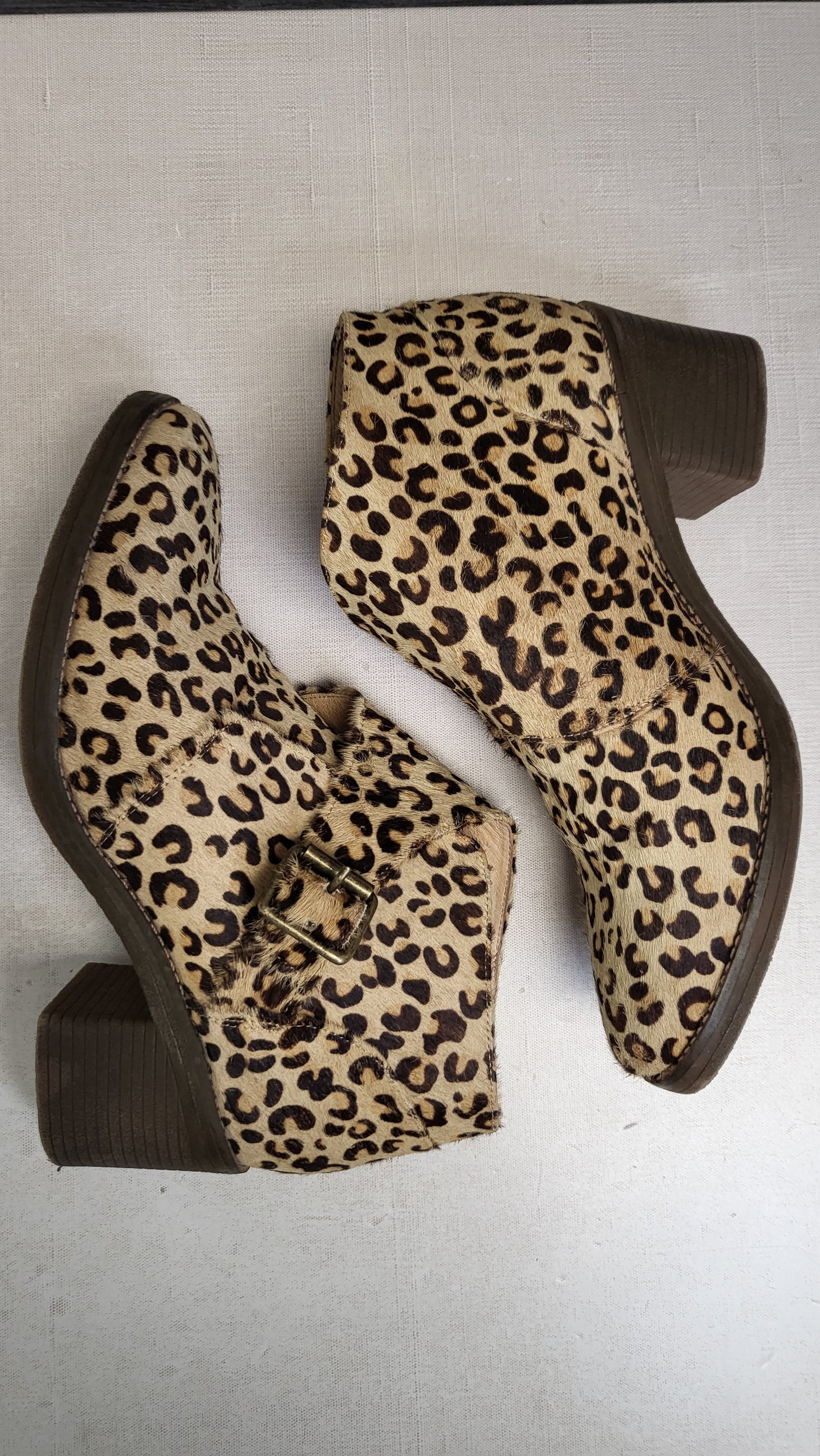 Ernest Wyler  Leopard Print Bootie (39)