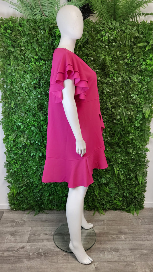 Ts Hot Pink Frill Dress BNWT (22)