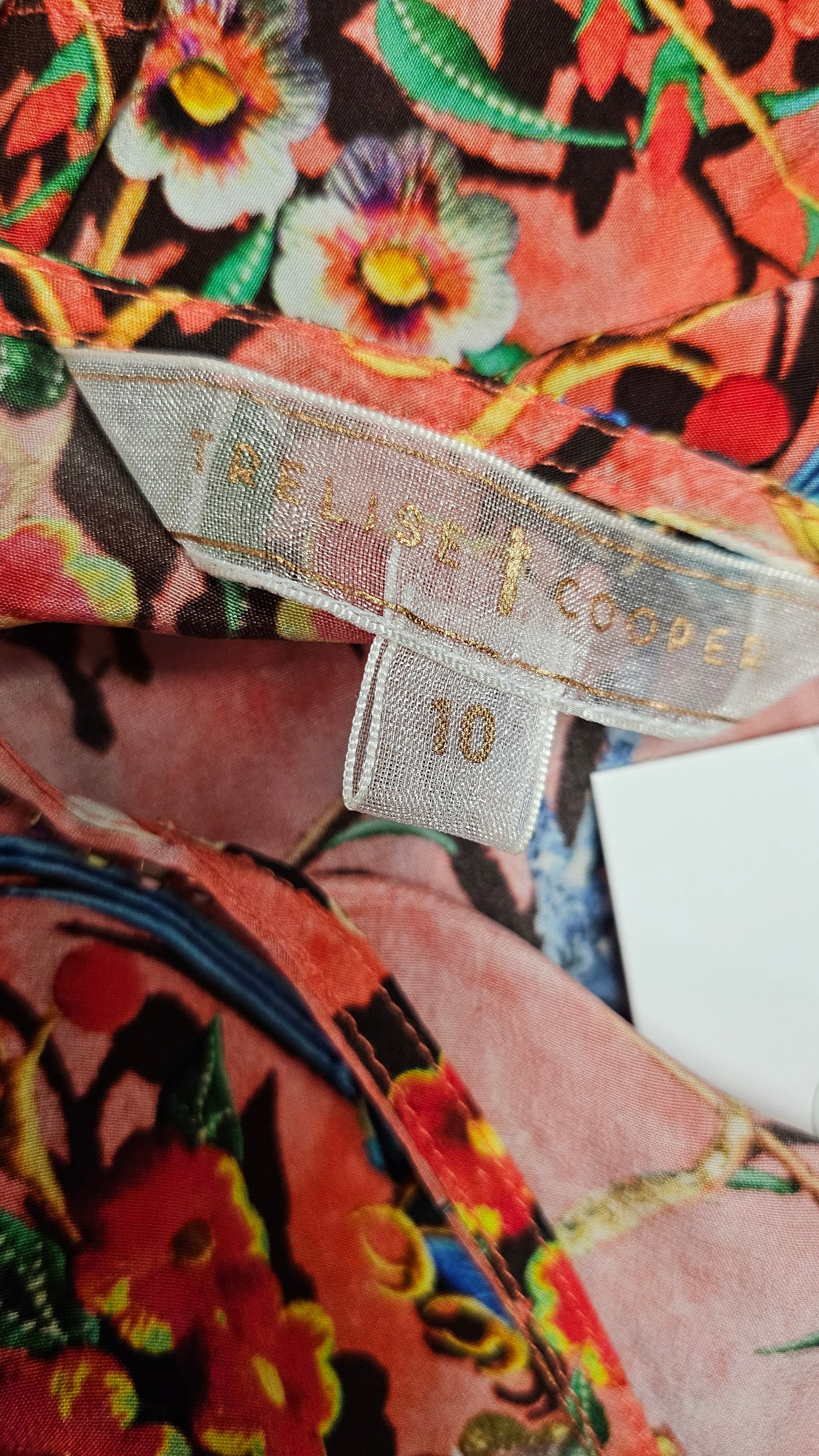 Trelise Cooper Peach Floral Get Rich Or Tie Trying Dress (10)
