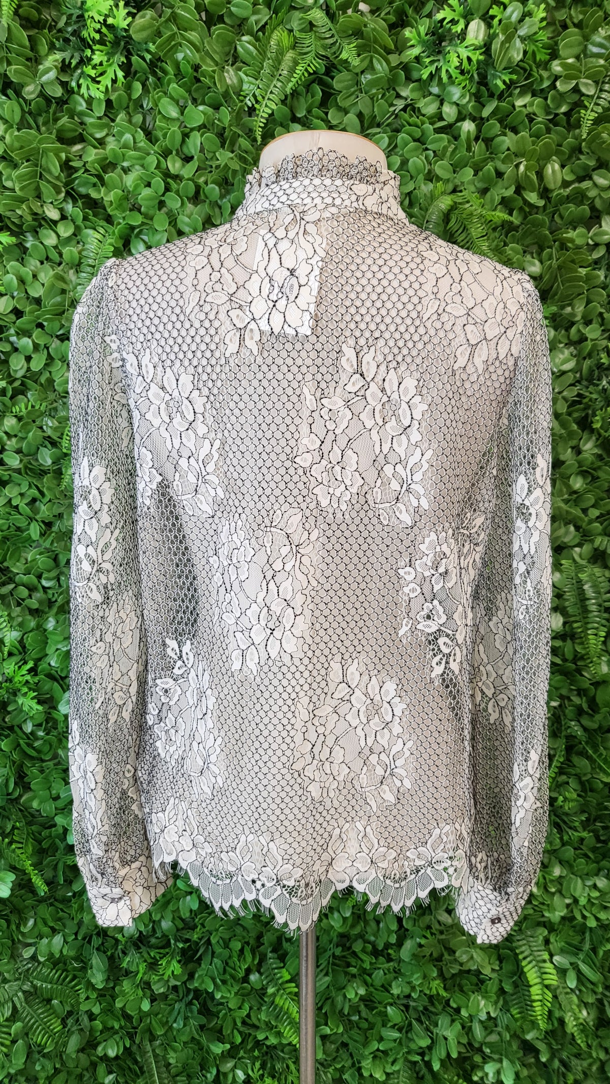 Max Cream/black Lace Shirt (10)