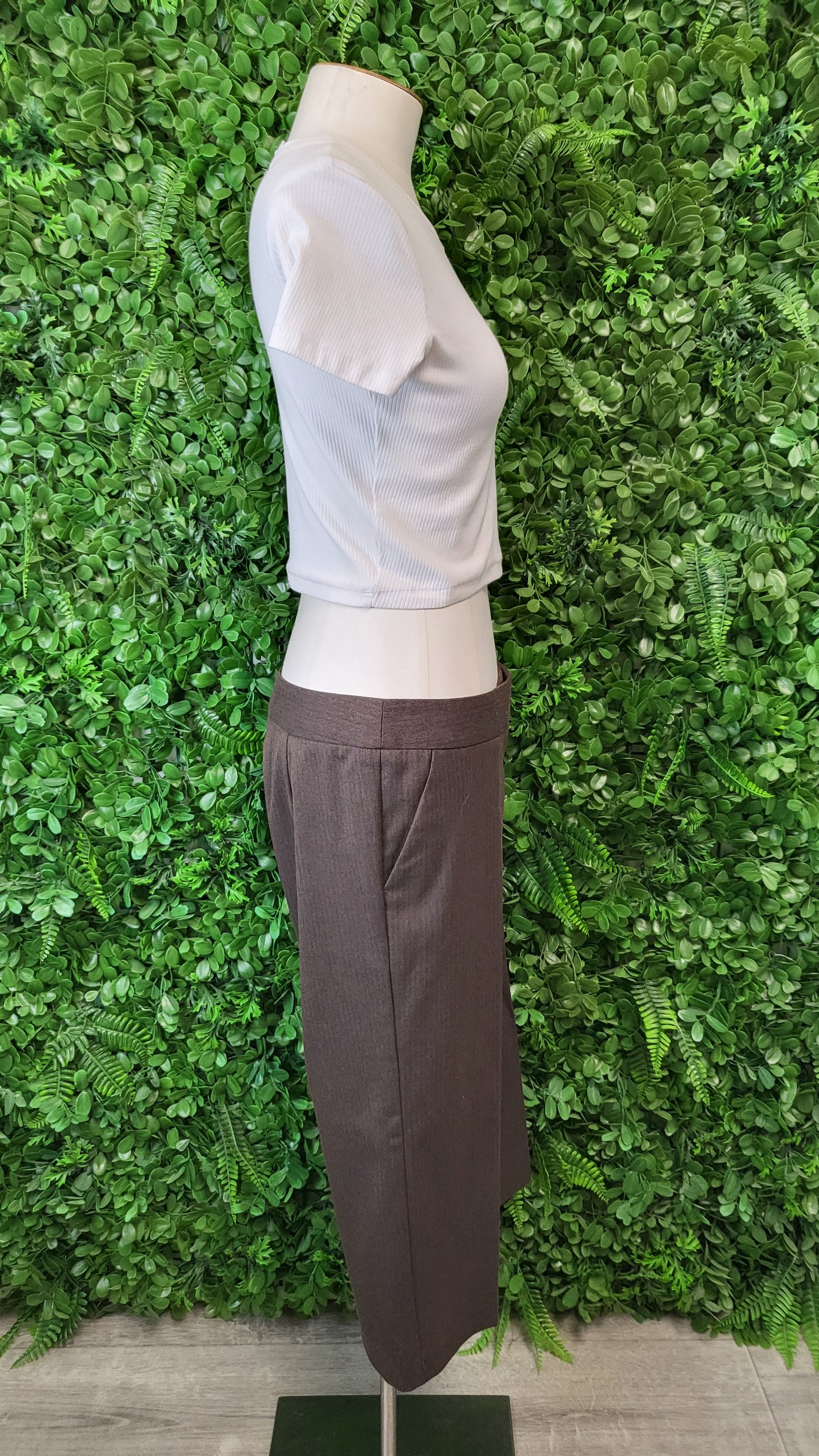Sussan Brown Capri Pants (12)