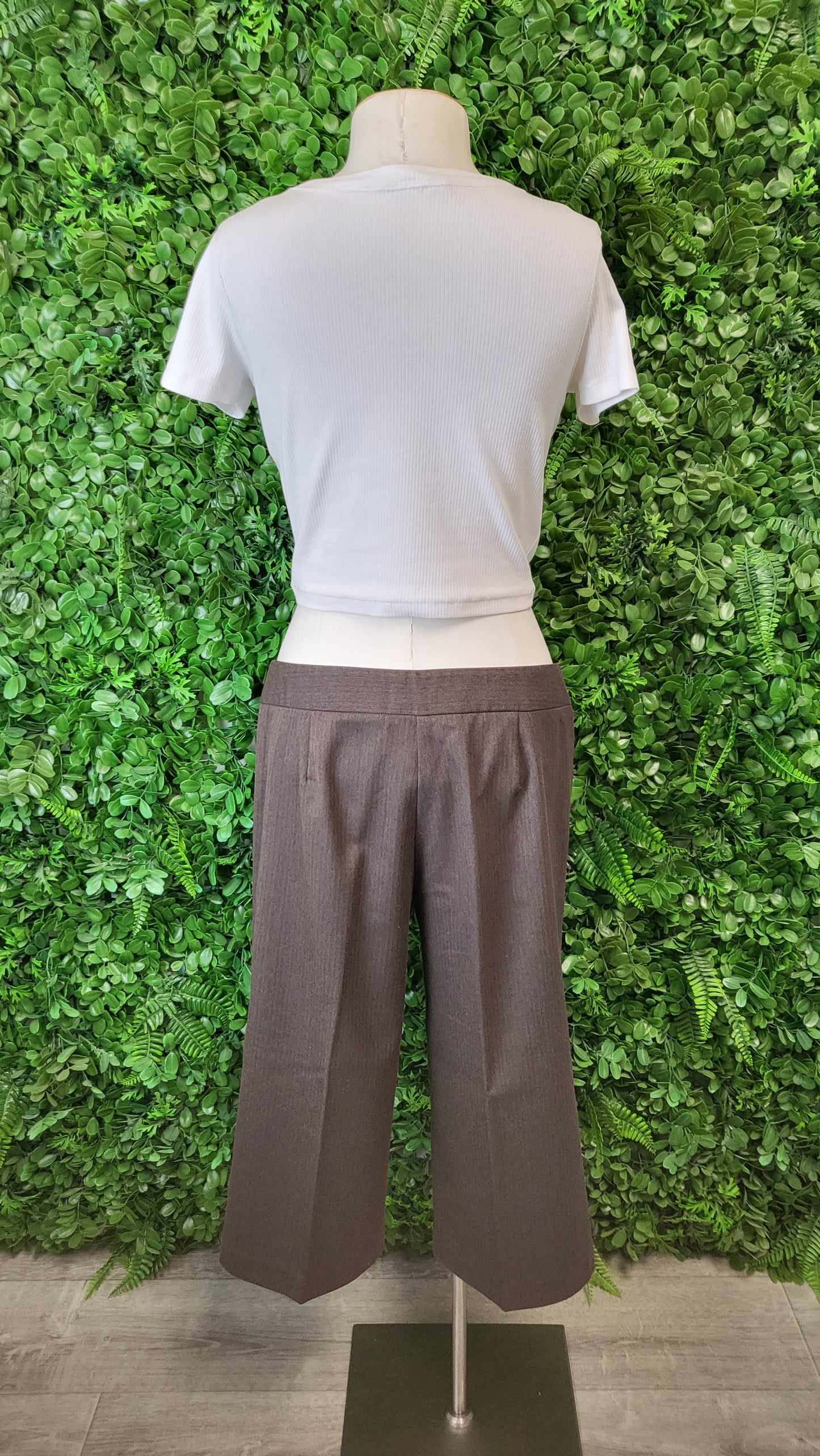 Sussan Brown Capri Pants (12)