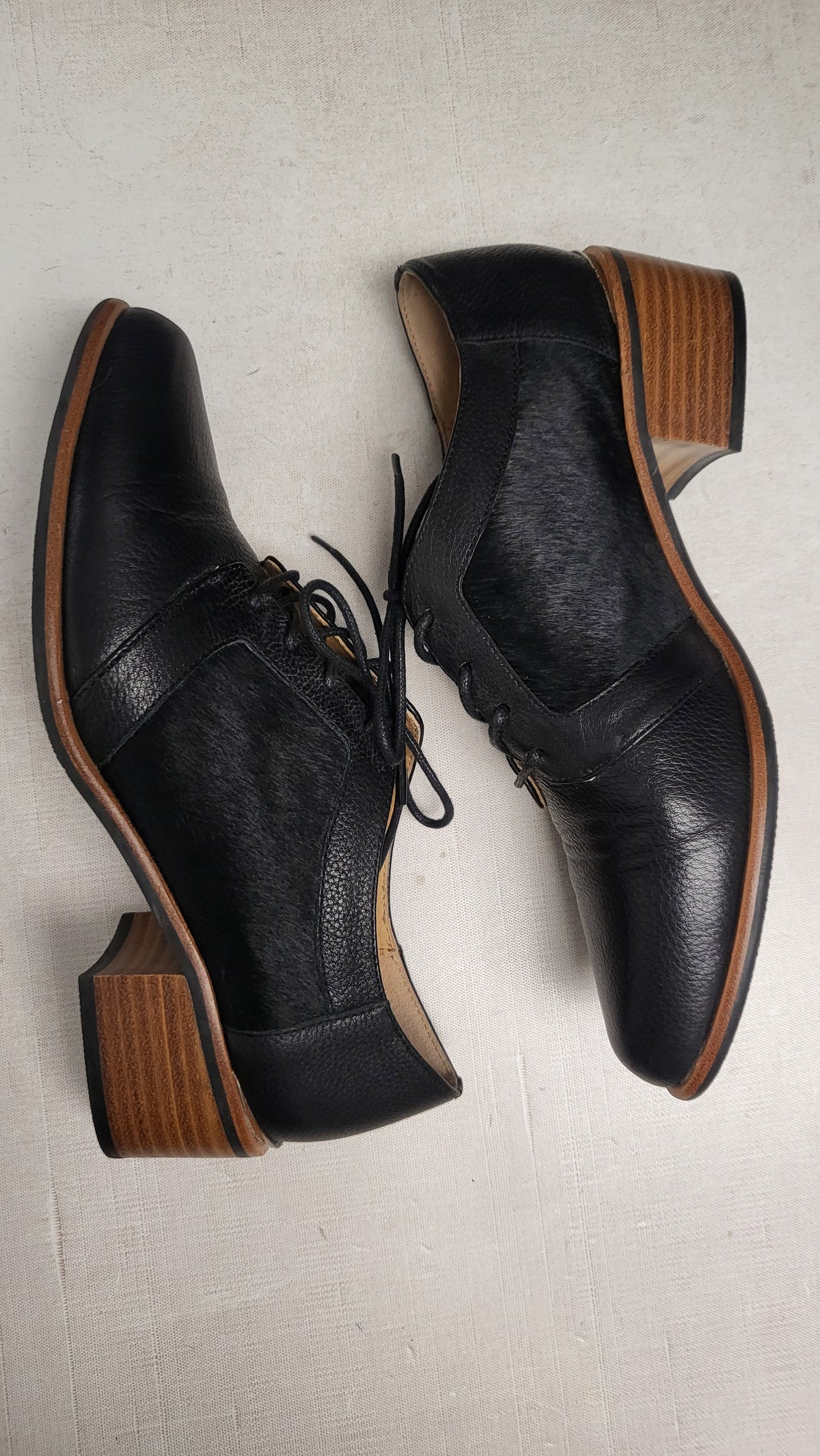 Isabella Anselmi Black Brogue Lace Up (39)
