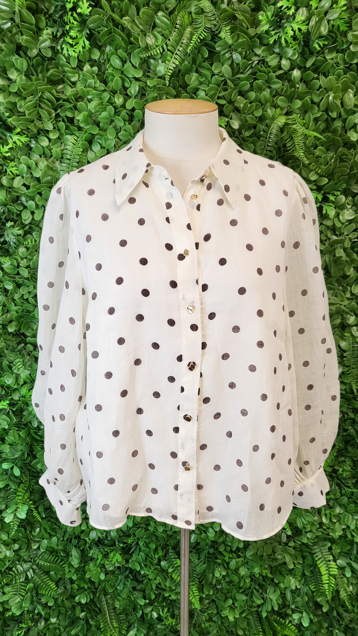 Ever New Melbourne Cream Spot Blouse (10)