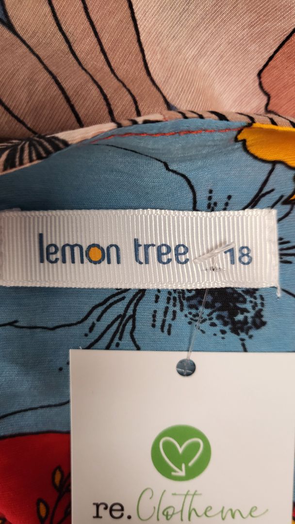 Lemon Tree Red Floral Tank Dress (18)